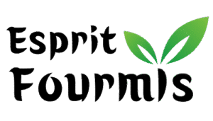 Esprit Fourmis